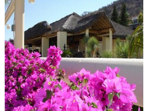 Hermosas flores adornan el rancho