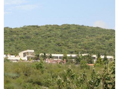 Hermosa vista de la naturaleza