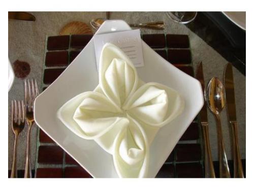 Servilleta blanca decorando el plato