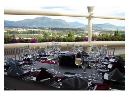 Montaje con vista a la naturaleza