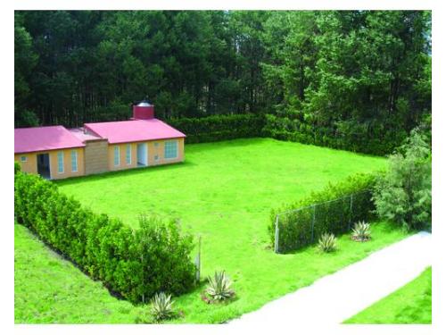 Vista panorámica de jardín altostratos