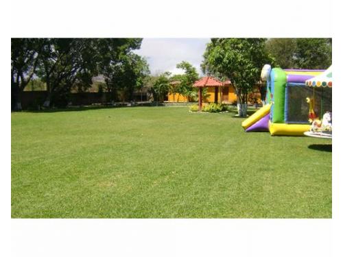 Disfruta del mejor clima