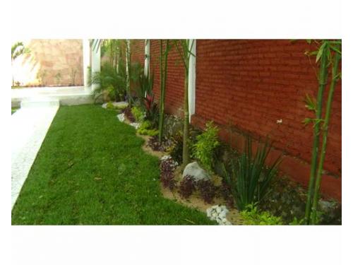 Jardinera que resalta