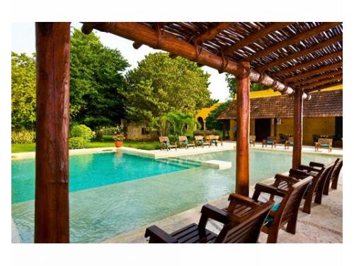 Camastros junto a la alberca