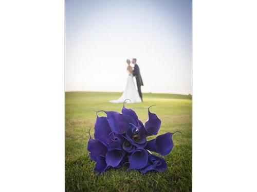 Capturan cada detalle