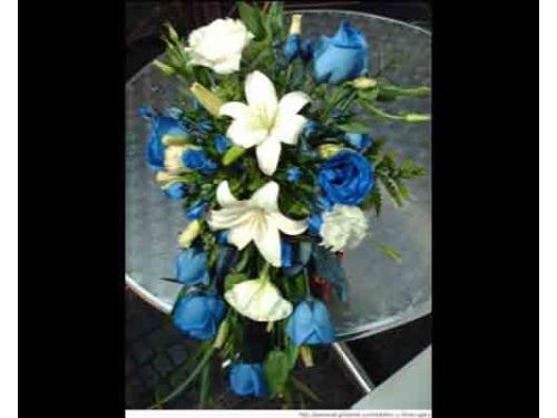 De todos los colores