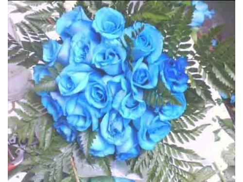 De todos los colores