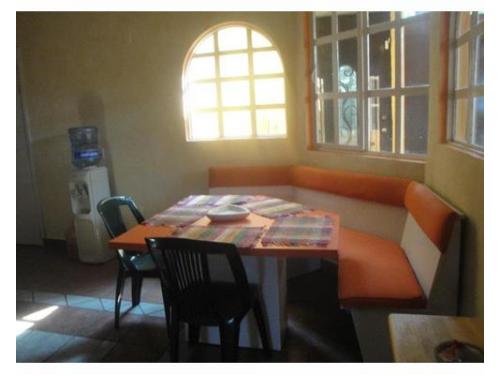 Disfruta de la primavera