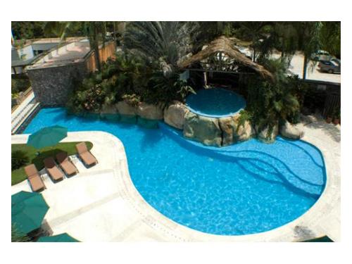 Toma el sol junto a la alberca