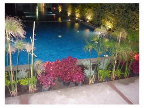 Sus instalaciones son las mejores