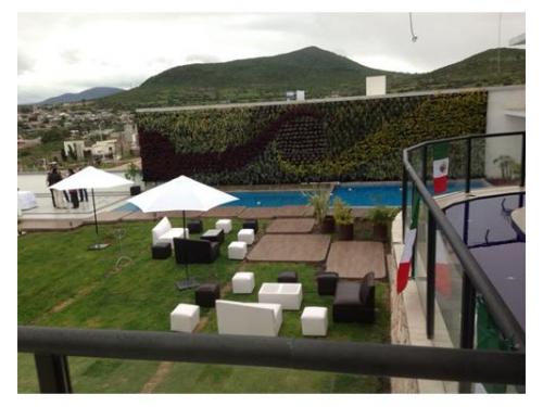 Son la mejor opción para tu boda