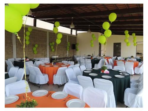 Elige la decoración