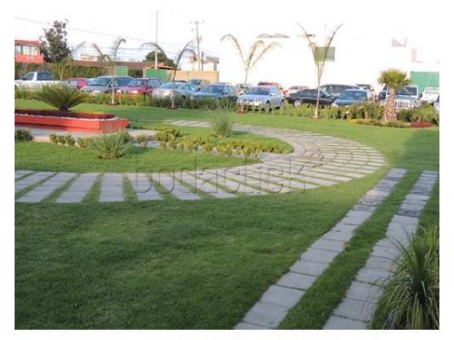 Amplio estacionamiento