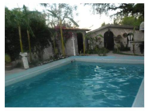 Disfruta de la alberca