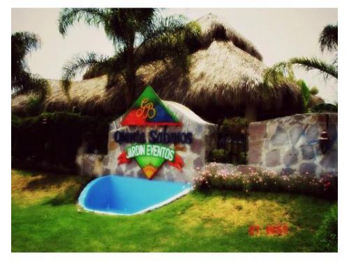 Tu boda en un bello jardín