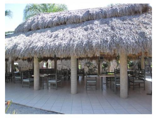 Palapa para tu recepeción