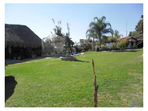 Disfruta del mejor servicio