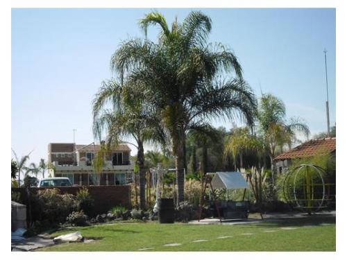 Disfruta de la naturaleza