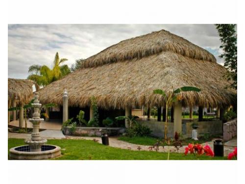 Palapa para tue evento