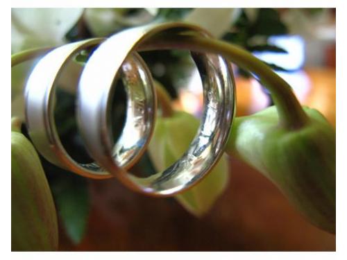 Detalle de las argollas