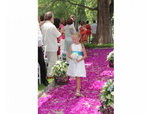 Caminando sobre el camino de pétalos