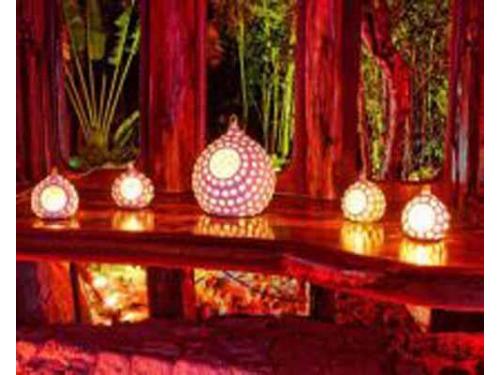 Organización y coordinación