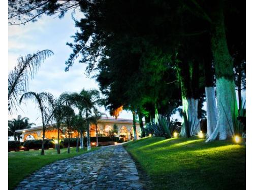 Camino empedrado en medio del jardín