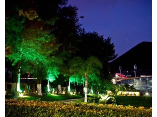 Hermoso jardín iluminado