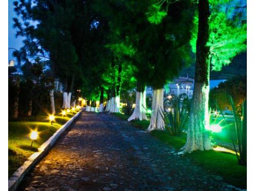 Camino empedrado en el jardín