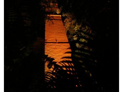 Expertos en iluminación