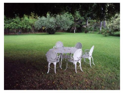 Montaje en el jardín