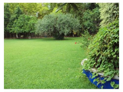 Amplio espacio para eventos