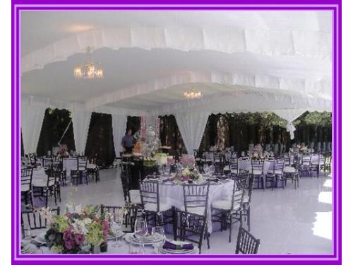 Variedad de estilos para tu montaje