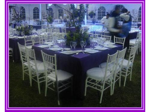 Montaje blanco y violeta