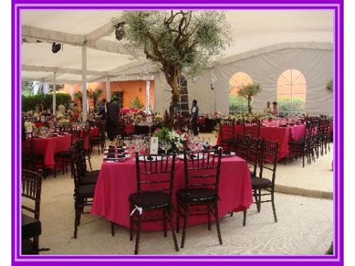 Sillas tiffany chocolate