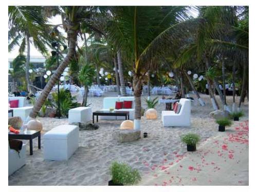 Montaje con flores y cruz de madera