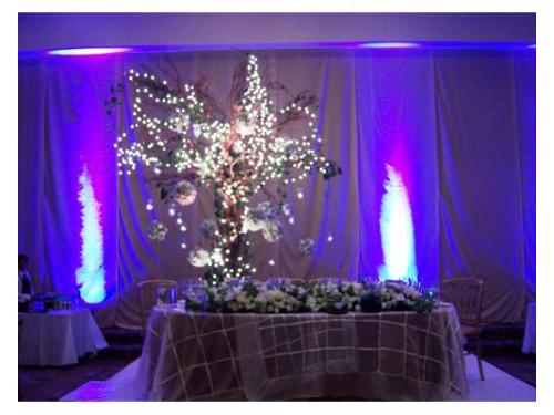 Mesa de novios salón de noche