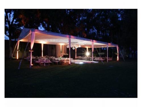 Carpa iluminada de noche