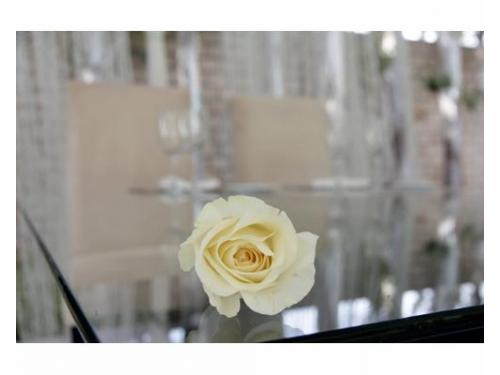 Rosa decorando la mesa