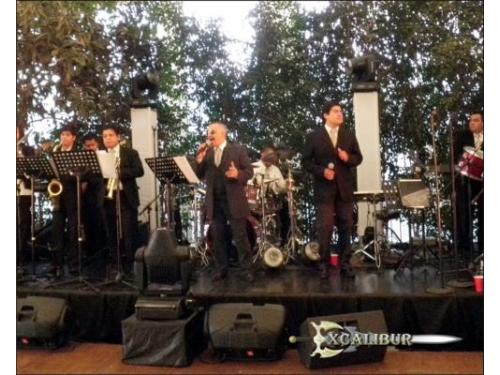 Músicos profesionales