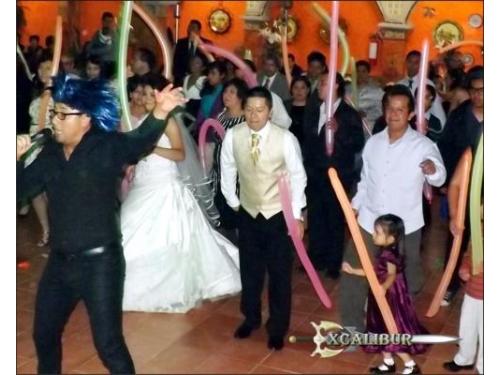 Animadores profesionales