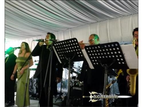 Música para todos los gustos