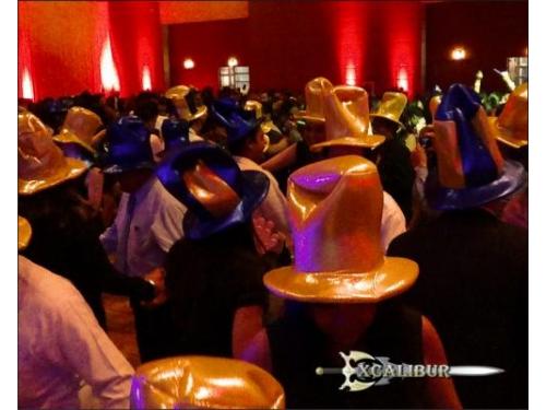 Cantantes profesionales