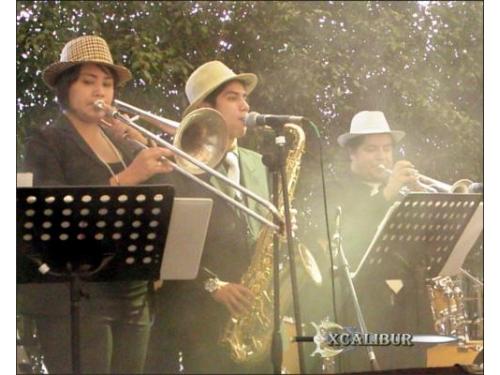 Animando las mejores bodas