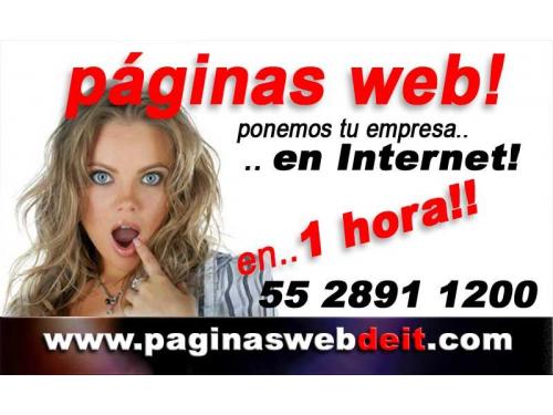ponemos tu negocio en Internet!!  en 1 Hora!!
