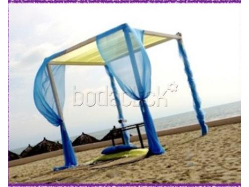 Bella carpa en la playa