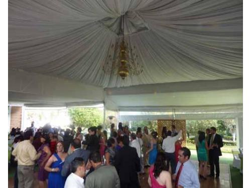 Crearan el mejor ambiente