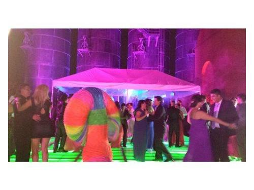 Show exclusivo de la oruga,