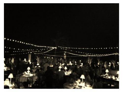 Cilantro art gourmet en tu boda