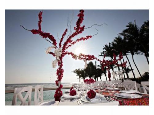 Elige la decoración